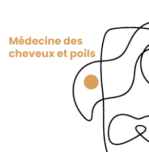 page-medecine-cheveux-poils